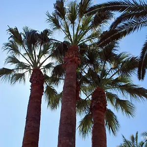 Appartement Les Palmeres, Castell-Platja d'Aro